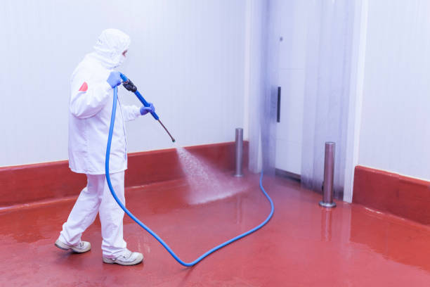 Trusted New Middletown, OH Pressure Washing Services Experts